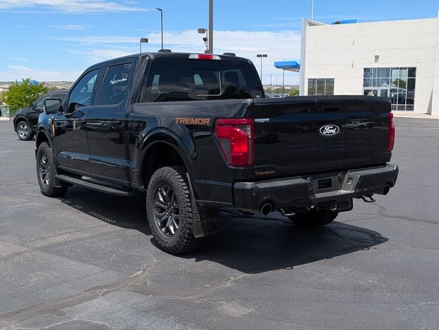 2025 Ford F-150 Tremor - Photo 7